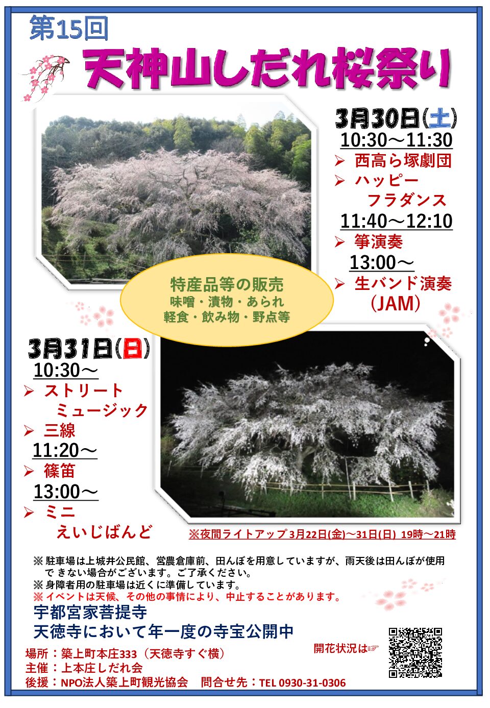 第15回　天神山しだれ桜祭り開催されます！